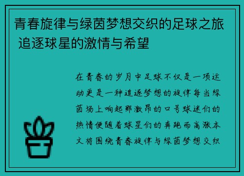 青春旋律与绿茵梦想交织的足球之旅 追逐球星的激情与希望