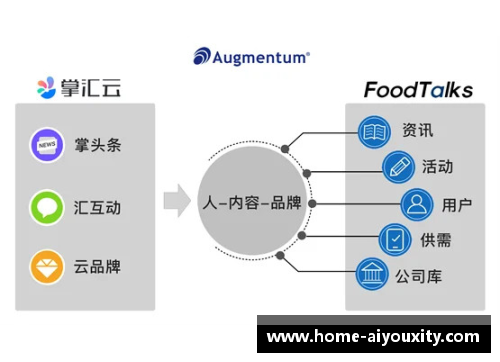 ayx爱游戏球员整容位置分析与应用技术发展趋势